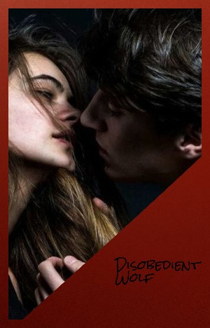 You Little Disobedient Wolf