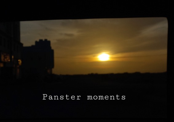Panster moments
